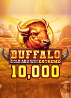 Spill de beste Hold_win-spillene på 21bit Casino - 21Bit casino