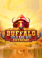 Spill de beste Hold_win-spillene på 21bit Casino - 21Bit casino