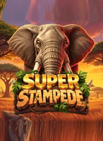 Spielen Sie die besten Bsg  Spiele bei 21bit Casino - 21Bit casino