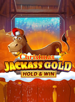 Spielen Sie die besten Novomatic  Spiele bei 21bit Casino - 21Bit casino