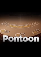 Spielen Sie in der größten Online Casino Tischspiele Bibliothek - 21Bit casino