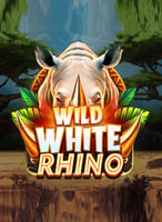 Play the Best Penguinking Games at 21bit Casino - 21Bit casino