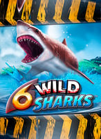 Play the Best 4theplayer Games at 21bit Casino - 21Bit casino