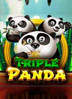 Play the Best Spadegaming Games at 21bit Casino - 21Bit casino