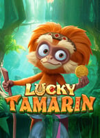 Play the Best Tadagaming Games at 21bit Casino - 21Bit casino