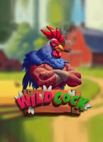 Play the Best Zillion Games at 21bit Casino - 21Bit casino